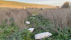 Caz tragic la Nisporeni: Un bărbat a fost târât de calul său pe câmp