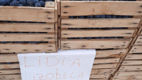 Iarmaroc la Piața Avicolă: Struguri și produse de vinificație