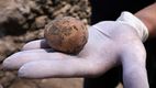 Un ou de găină, vechi de 1.000 de ani, a fost descoperit intact