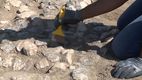 Descoperire importantă la Templul lui Zeus din orașul antic Magnesia