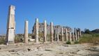 Descoperire importantă la Templul lui Zeus din orașul antic Magnesia