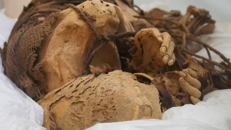 Peru: Rămășițele unor persoane sacrificate, descoperite de arheologi