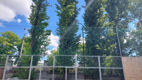 Un copac s-a prăbușit pe terenurile de tenis din centrul Capitalei