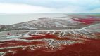 Imagini spectaculoase: Cum a apărut plaja roșie din China