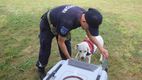 IGSU a lansat Campania de prevenire a riscurilor pe înțelesul copiilor