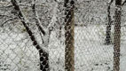 Imagini ca din povești: Nordul Moldovei, acoperit de zăpadă