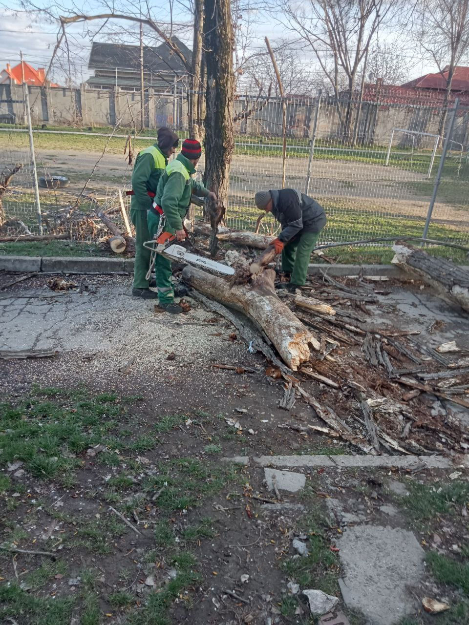 Chișinăul, plin de crengi: Piloni doborâți și indicatoare luate de vânt