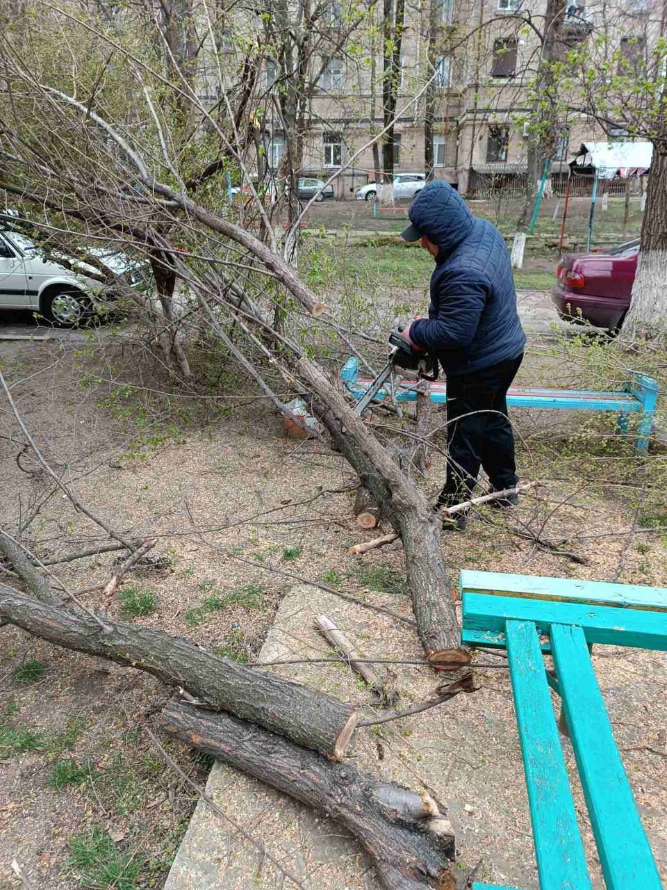 Chișinăul, plin de crengi: Piloni doborâți și indicatoare luate de vânt
