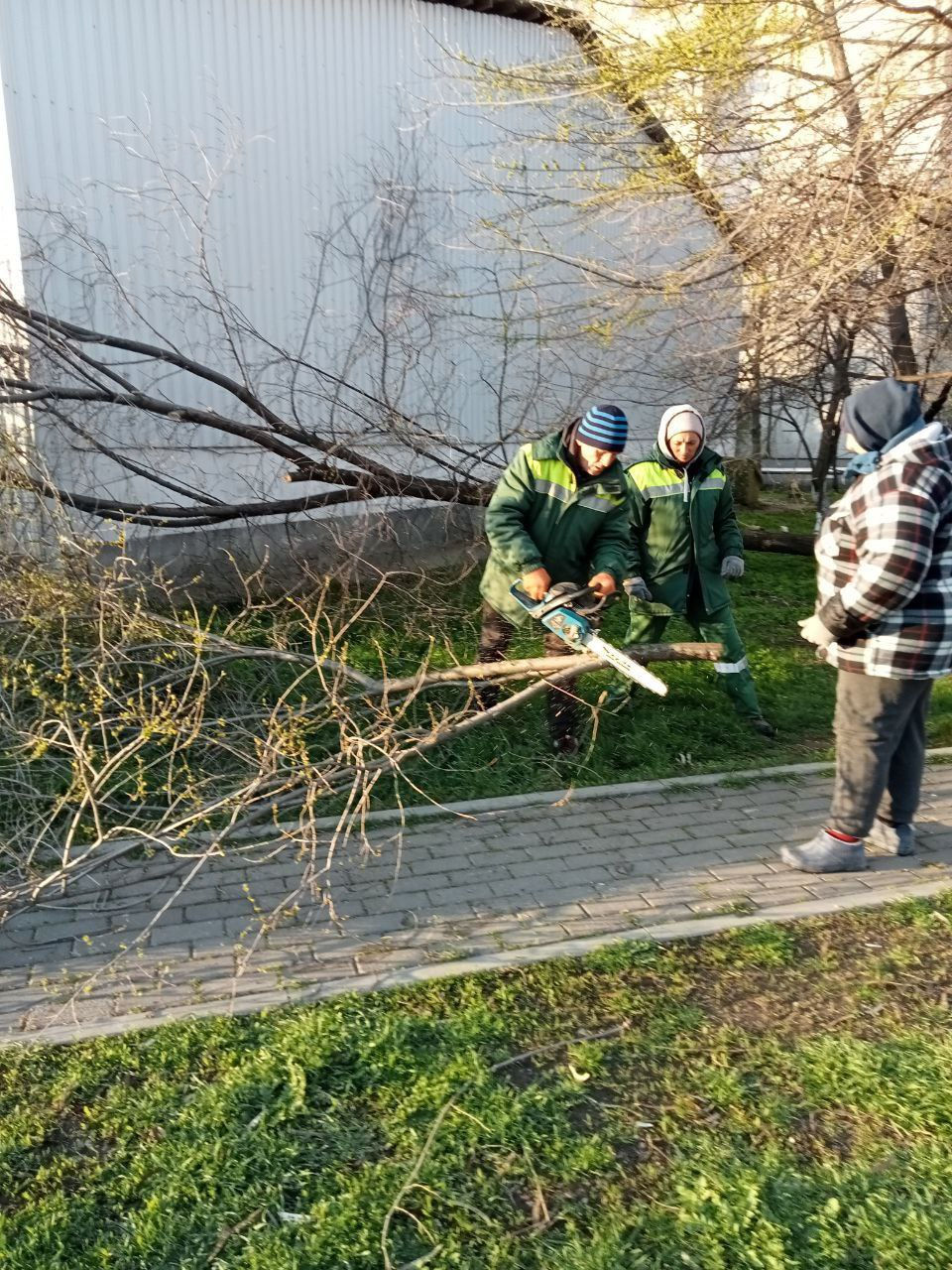 Chișinăul, plin de crengi: Piloni doborâți și indicatoare luate de vânt