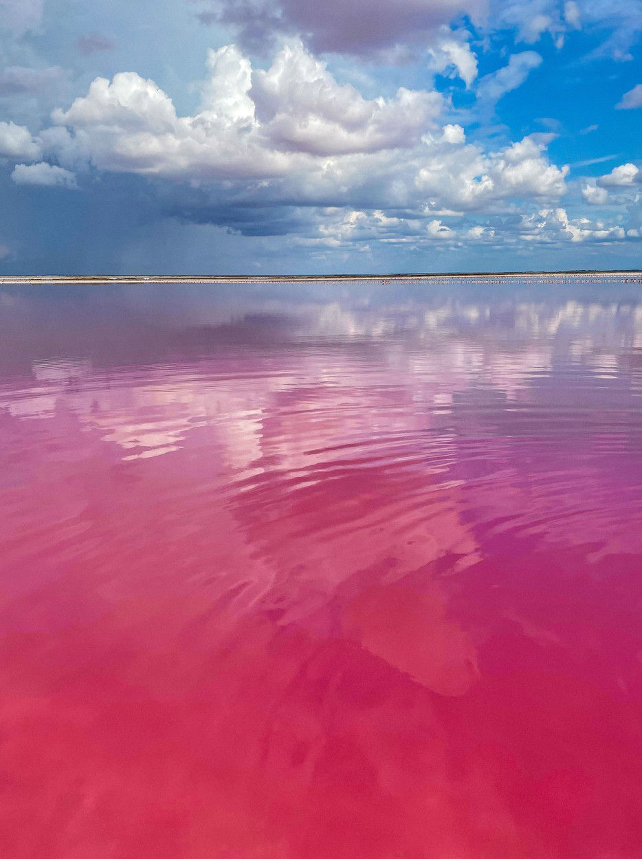 Розовый водоем в крыму. Сасык Сиваш озеро. Сасык-Сиваш Евпатория. Озеро Сасык-Сиваш (г. Евпатория). Розовое озеро в Крыму Сасык Сиваш.