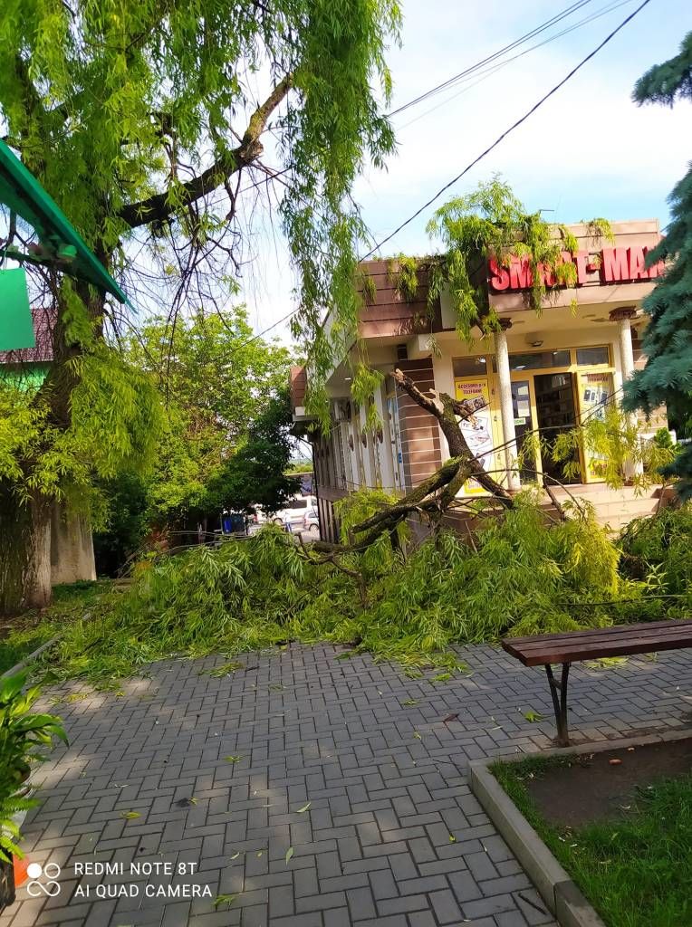Prăpăd la Ungheni: Ploaia cu grindină a distrus grădini și a rupt copaci