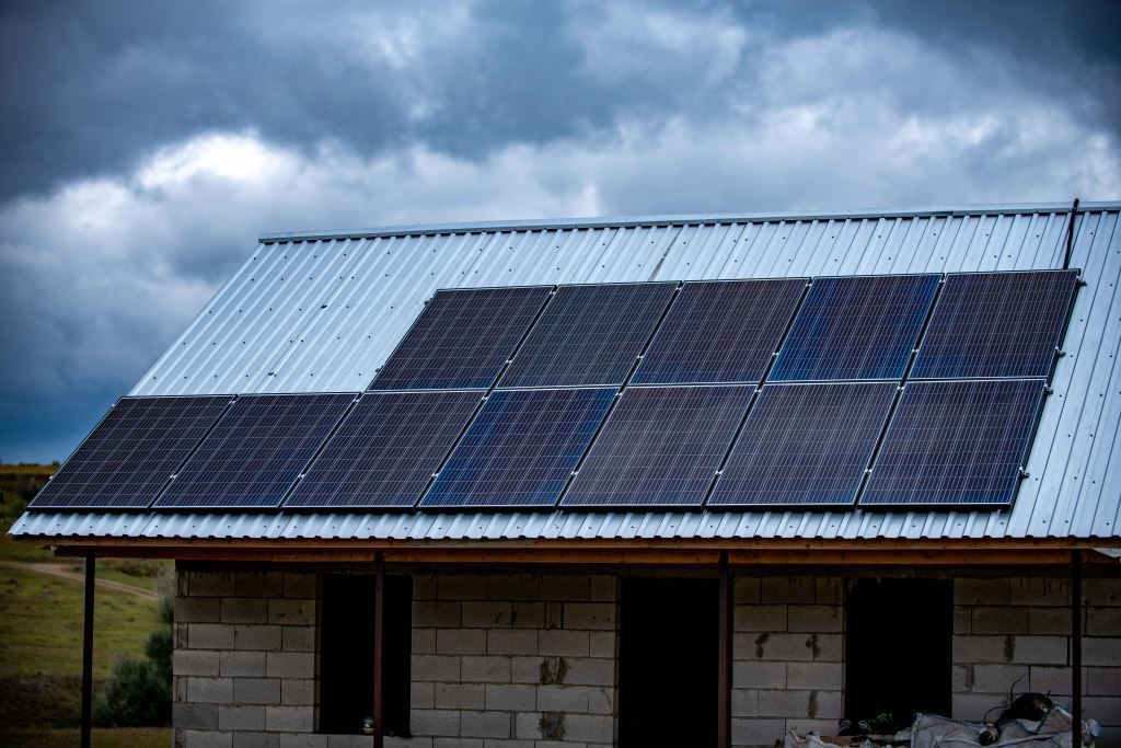 Oieritul, o afacere de succes: 5 ferme din Borogani, modernizate de UE