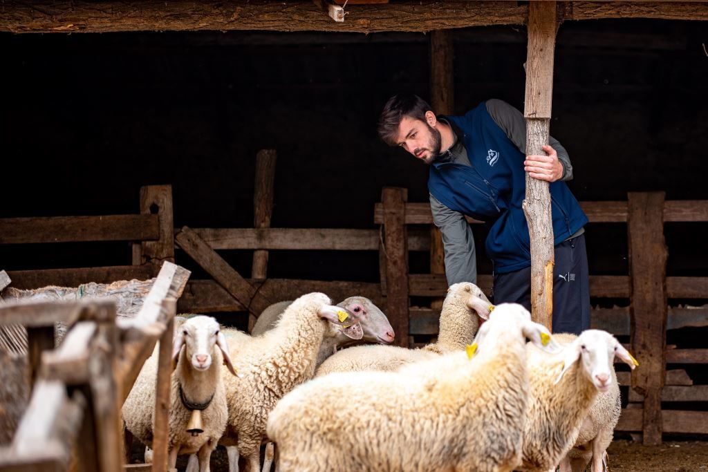 Oieritul, o afacere de succes: 5 ferme din Borogani, modernizate de UE