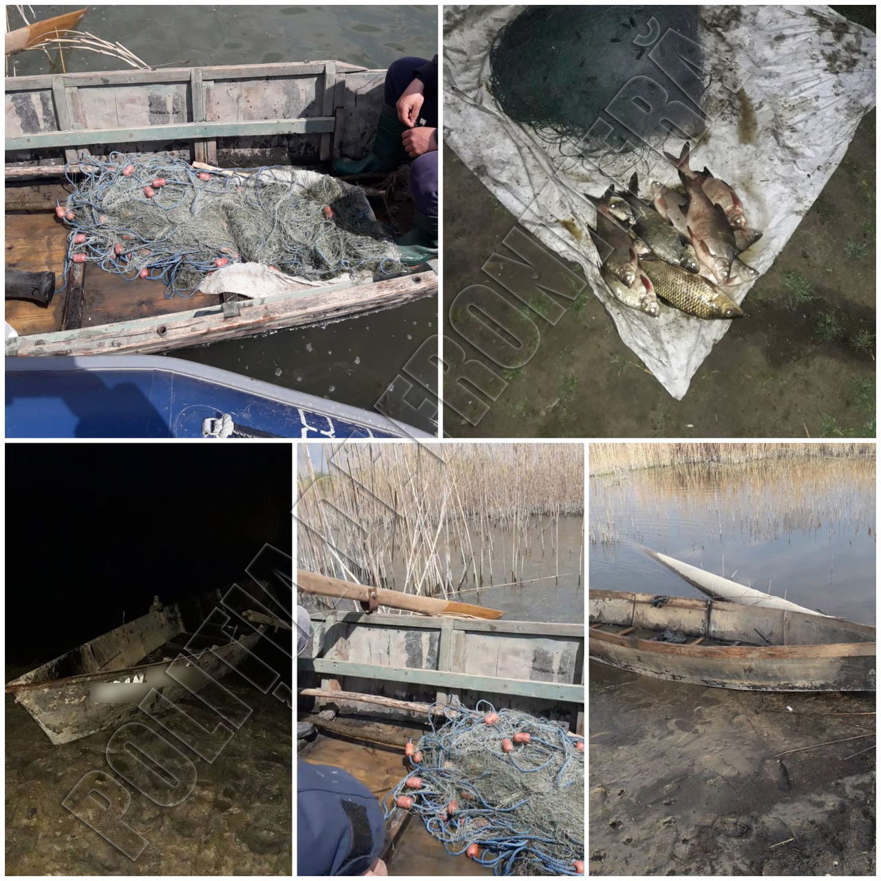 Amenzi pentru mai mulți bărbați prinși la pescuit ilegal în weekend