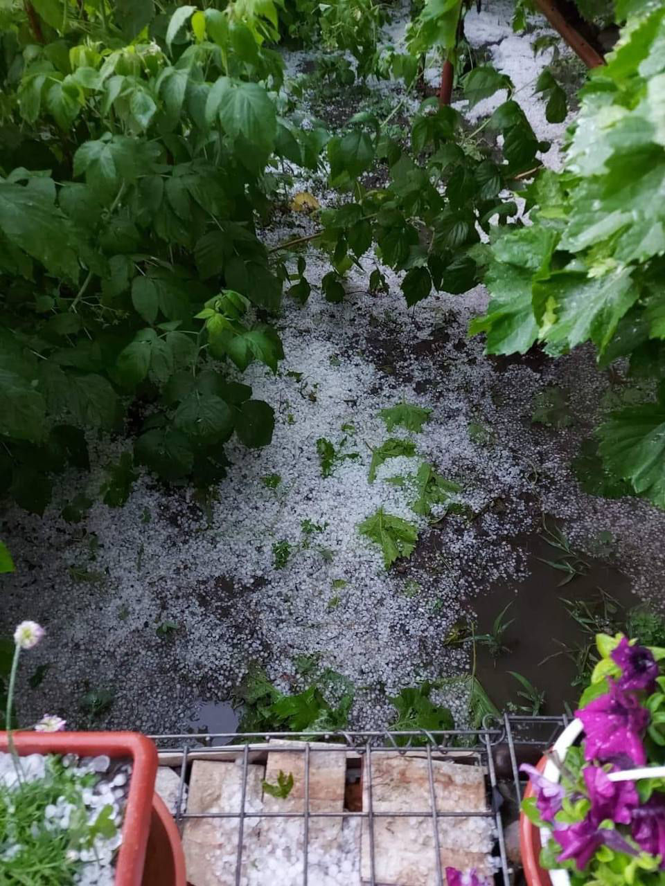 La Soroca a plouat cu grindină: Imagini cu mormane de gheață