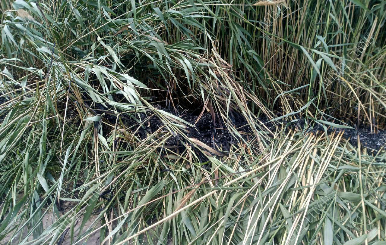 Tragedie la pescuit: Un minor a fost electrocutat