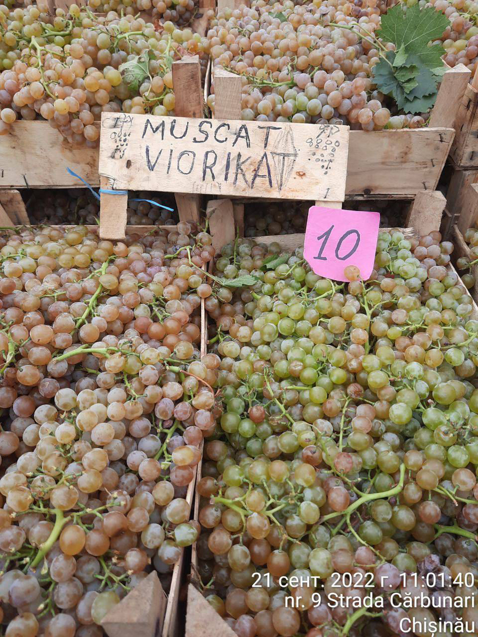 Iarmaroc la Piața Avicolă: Struguri și produse de vinificație