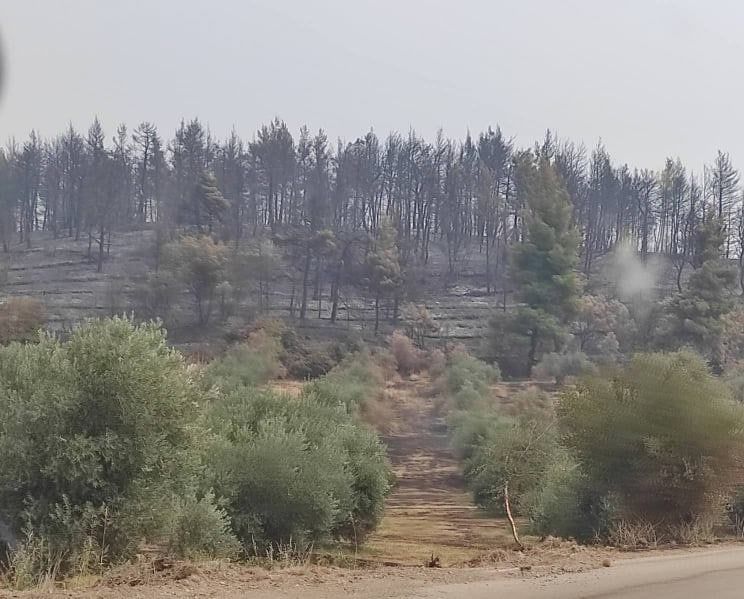 Pompierii moldoveni detașați în Grecia și-au început misiunea
