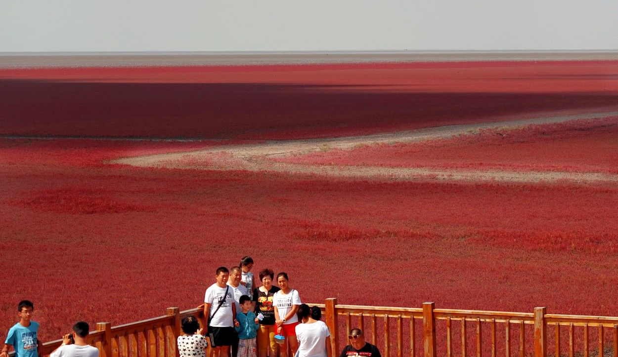 Imagini spectaculoase: Cum a apărut plaja roșie din China