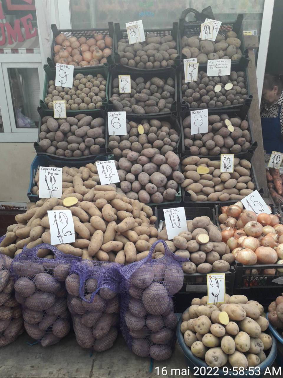 Prețurile la Piața Centrală: Cât costă fructele, legumele și ouăle