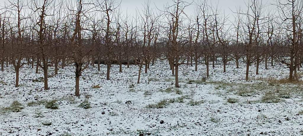 Alertă la Briceni: O rachetă, descoperită în apropierea orașului