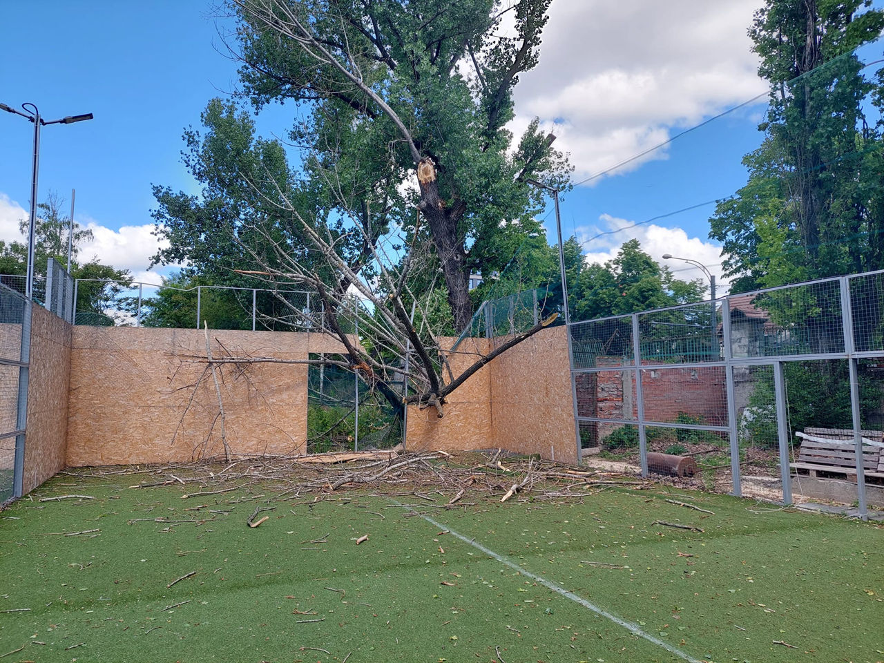 Un copac s-a prăbușit pe terenurile de tenis din centrul Capitalei