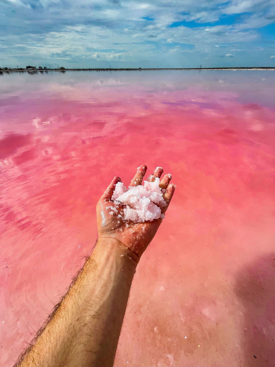 Розовое озеро яровое. Розовое озеро в Крыму Сасык. Сасык-Сиваш Евпатория. Розовое озеро Феодосия. Розовое озеро Евпатория Сасык Сиваш.