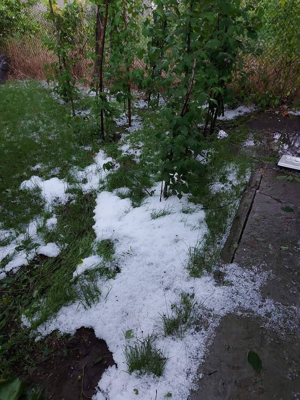 La Soroca a plouat cu grindină: Imagini cu mormane de gheață