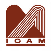 Mobila ICAM-avatar