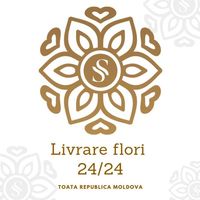 Surprize-Flori-avatar