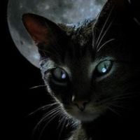 jasmin77-avatar