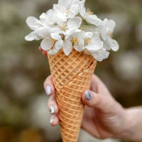 new-user-4370-avatar