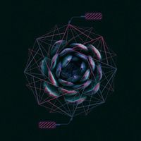 MDLine-avatar
