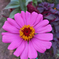 new-user-94-avatar