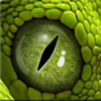 scoric-alexandru-avatar