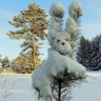 kaish-liyda-avatar