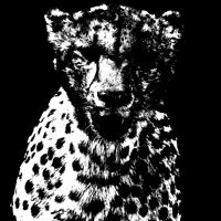serpskimax-avatar