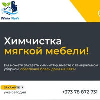 Cistii-Stili-avatar