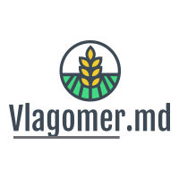 vlagomer-avatar