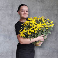 vera-turcanu-avatar