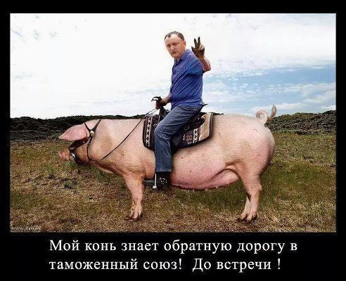 Либеральная партия Молдовы инициирует референдум об отставке Додона - Цензор.НЕТ 2420