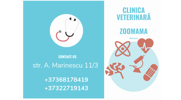 Clinica veterinară ZOOMAMA