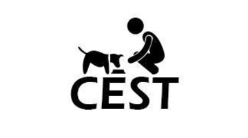 CEST - Centru de capturare si sterilizare cainilor