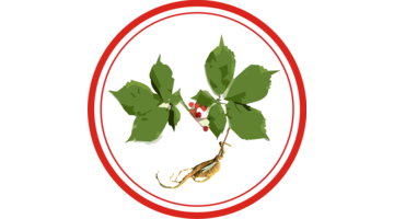 Panax Ginseng SRL