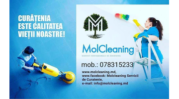 MolCleaning