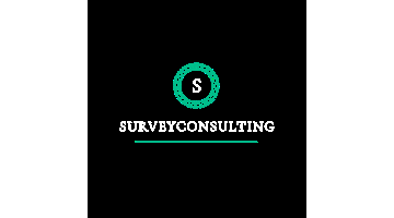 Compania Survey Consulting SRL