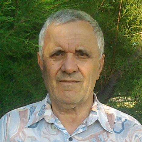   Vladimir   Nedelco  