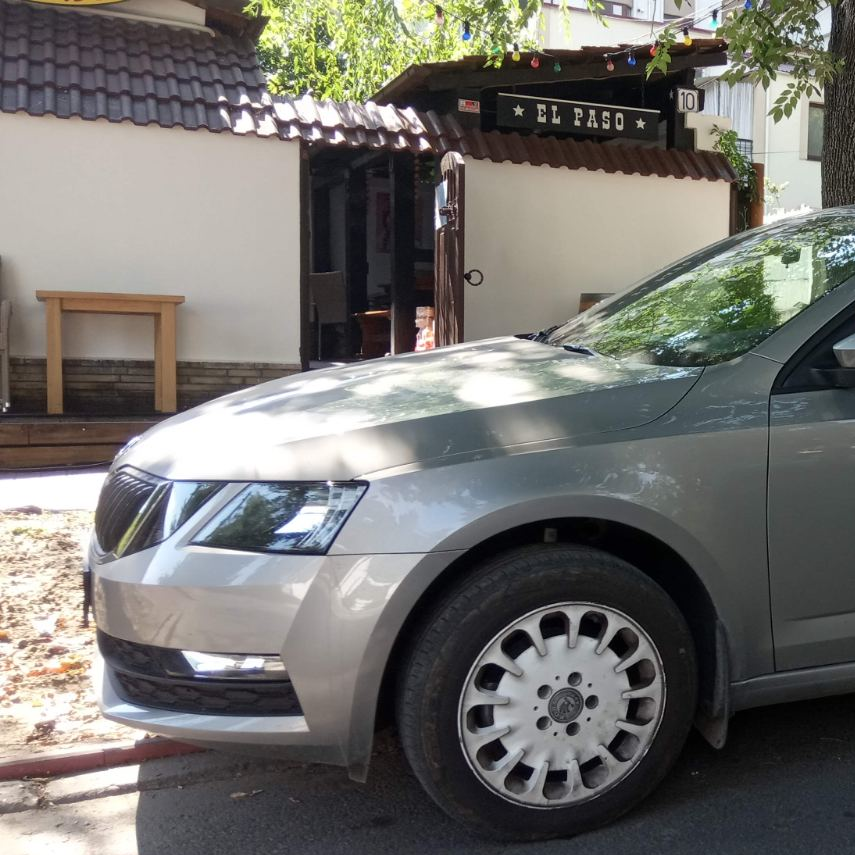 Водитель со своим автомобилем