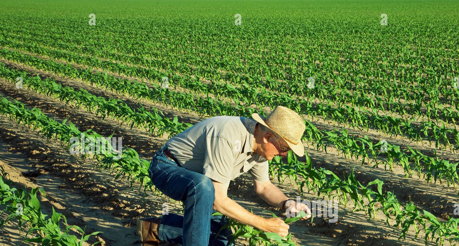 Требуется разнорабочий. Оплата ежедневно.