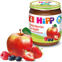 Пюре Hipp из яблок и лесные ягоды (4+ мес.), 125 г